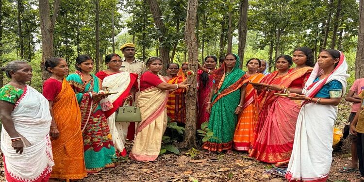 Jamshedpur rural raksha bandhan : चाकुलिया के चियाबांधी वन सुरक्षा समिति ने पेड़ों को बांधी राखी, वनों को संरक्षित करने का लिया संकल्प Jamshedpur rural raksha bandhan : चाकुलिया के चियाबांधी वन सुरक्षा समिति ने पेड़ों को बांधी राखी, वनों को संरक्षित करने का लिया संकल्प