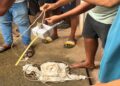 Jamshedpur rural panic over unknown equipment : बहरागोड़ा के पथरा गांव में आकाश से अज्ञात उपकरण गिरने से हड़कंप, पुलिस जांच में निकला वैज्ञानिक अनुसंधान के लिए छोड़ा गया यंत्र, विद्यासागर विवि से पैराशूट में बांध कर छोड़ा गया था आसमान में