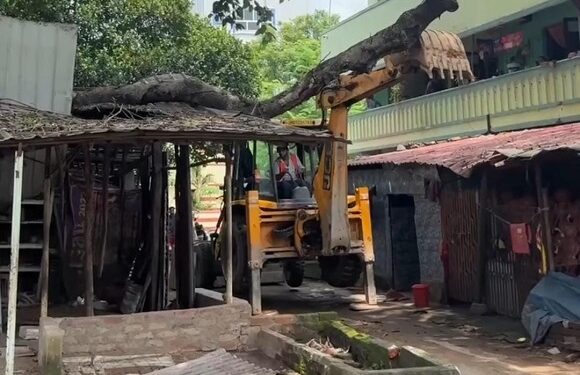 Jamshedpur encroachment drive : सोनारी में हटाया गया अवैध अतिक्रमण, दुकान को जेसीबी से तोड़ा, देखिए – video