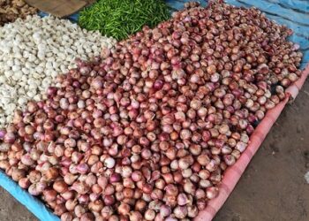 Onion price hike : आसमान छू रहा प्याज का दाम, गालूडीह बाजार में 60 रुपये किलो Onion price hike : आसमान छू रहा प्याज का दाम, गालूडीह बाजार में 60 रुपये किलो