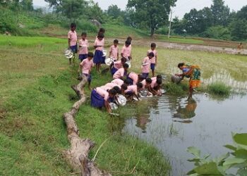 Jamshedpur rural water crisis : राजाबासा प्राथमिक विद्यालय में पेयजल संकट गहराया, डोभा के पानी में बर्तन धोने को मजबूर बच्चे Jamshedpur rural water crisis : राजाबासा प्राथमिक विद्यालय में पेयजल संकट गहराया, डोभा के पानी में बर्तन धोने को मजबूर बच्चे