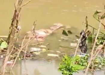 Jamshedpur body found : एमजीएम के सुवर्णरेखा नदी में मिला अज्ञात शव, सिर गायब, हत्या की आशंका Jamshedpur body found : एमजीएम के सुवर्णरेखा नदी में मिला अज्ञात शव, सिर गायब, हत्या की आशंका
