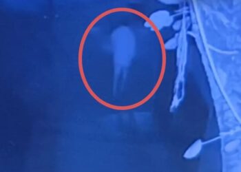 Jamshedpur theft : टेल्को में कांग्रेस नेता के बंद घर में चोरी, गहने-नकद लेकर फरार, देखिए – video Jamshedpur theft : टेल्को में कांग्रेस नेता के बंद घर में चोरी, गहने-नकद लेकर फरार, देखिए – video