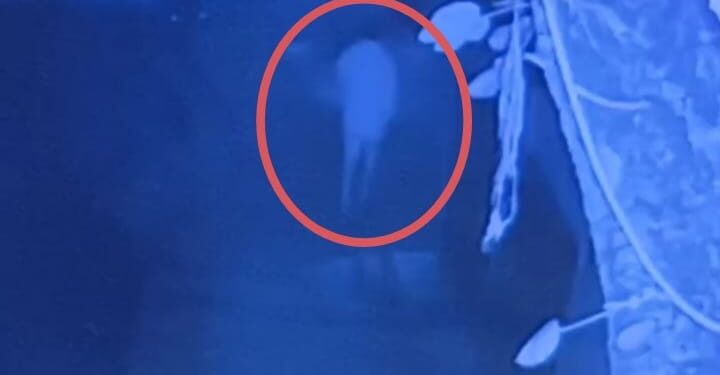 Jamshedpur theft : टेल्को में कांग्रेस नेता के बंद घर में चोरी, गहने-नकद लेकर फरार, देखिए – video