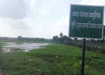 jamshedpur rural-चाकुलिया के पक्का घाट तालाब में भरा जलकुंभी,मूर्ति विसर्जन में होगी परेशानी