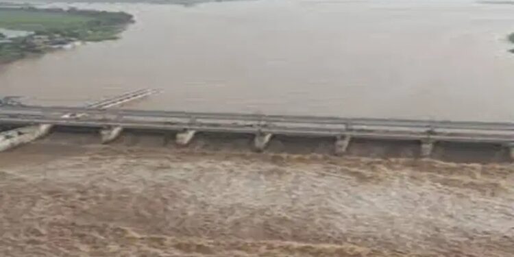 jharkhand-bihar sone river water level risen-सोन नदी का जलस्तर बढ़ा, इंद्रपुरी बराज के 69 फाटक खोले गए, बिहार व झारखंड के पलामू के लोगों से सतर्क रहने की अपील jharkhand-bihar sone river water level risen-सोन नदी का जलस्तर बढ़ा, इंद्रपुरी बराज के 69 फाटक खोले गए, बिहार व झारखंड के पलामू के लोगों से सतर्क रहने की अपील