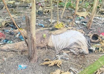 Jamshedpur deadbody found : मानगो के आजादनगर मुर्दा मैदान के पास अज्ञात व्यक्ति का शव बरामद, झाड़ियों में सड़ा-गला शव मिलने से सनसनी, पुलिस मृत व्यक्ति की पहचान कराने में जुटी Jamshedpur deadbody found : मानगो के आजादनगर मुर्दा मैदान के पास अज्ञात व्यक्ति का शव बरामद, झाड़ियों में सड़ा-गला शव मिलने से सनसनी, पुलिस मृत व्यक्ति की पहचान कराने में जुटी