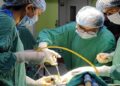 Jamshedpur mgm hospital difficult surgery : एमजीएम अस्पताल में जटिल एयरवे केस में डॉक्टरों को मिली सफलता, फाइबर ऑप्टिक तकनीक से की गई महिला की सफल सर्जरी Jamshedpur mgm hospital difficult surgery : एमजीएम अस्पताल में जटिल एयरवे केस में डॉक्टरों को मिली सफलता, फाइबर ऑप्टिक तकनीक से की गई महिला की सफल सर्जरी