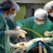 Jamshedpur mgm hospital difficult surgery : एमजीएम अस्पताल में जटिल एयरवे केस में डॉक्टरों को मिली सफलता, फाइबर ऑप्टिक तकनीक से की गई महिला की सफल सर्जरी Jamshedpur mgm hospital difficult surgery : एमजीएम अस्पताल में जटिल एयरवे केस में डॉक्टरों को मिली सफलता, फाइबर ऑप्टिक तकनीक से की गई महिला की सफल सर्जरी