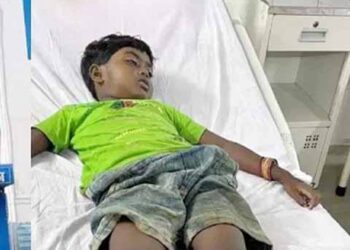 saraikela snakebite-सरायकेला के टोंटोपोसी में सर्पदंश से छह साल की बच्ची की मौत, इलाज ने दौरान बच्ची ने तोड़ा दम saraikela snakebite-सरायकेला के टोंटोपोसी में सर्पदंश से छह साल की बच्ची की मौत, इलाज ने दौरान बच्ची ने तोड़ा दम