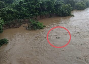 Jamshedpur rural alert : धालभूमगढ़ के सुवर्णरेखा नदी में मगरमच्छ दिखने से दहशत, पुलिस ने जारी की सतर्कता अपील, देखिए – video Jamshedpur rural alert : धालभूमगढ़ के सुवर्णरेखा नदी में मगरमच्छ दिखने से दहशत, पुलिस ने जारी की सतर्कता अपील, देखिए – video